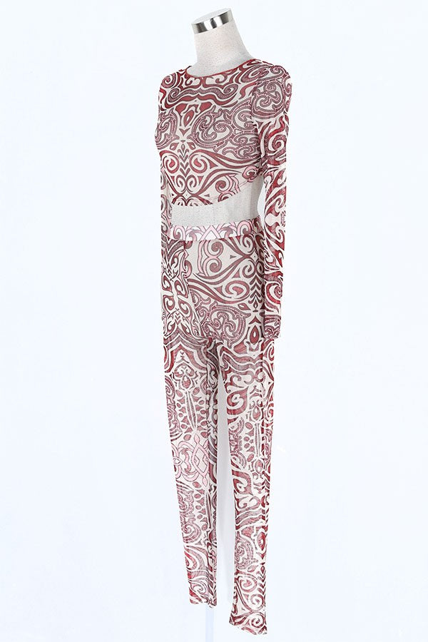 Women's Leopard Print Sheer Mesh Long Sleeve Top & Pants Set - photo 2