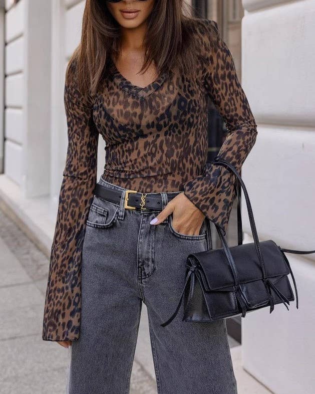 Women's leopard print sheer mesh v-neck long sleeve top