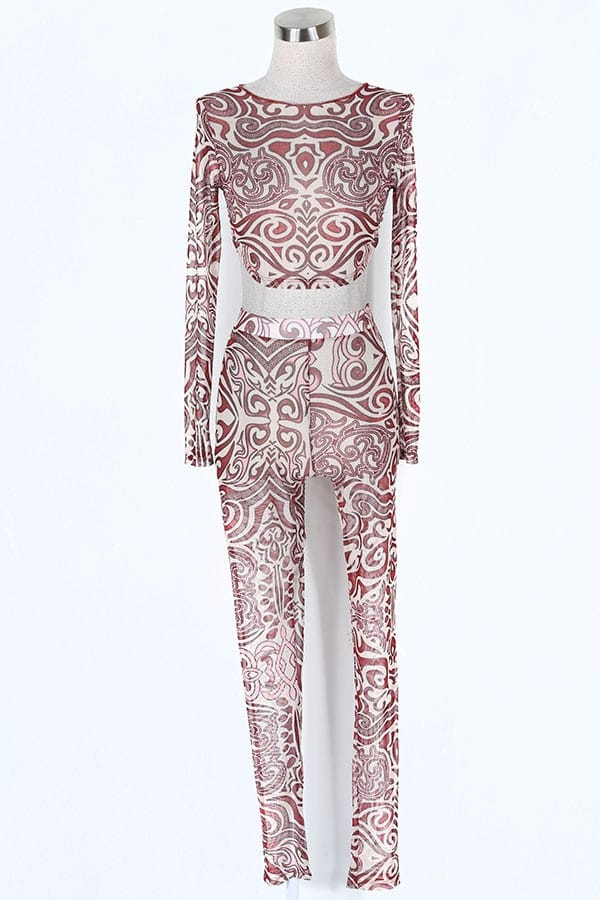 Women's Leopard Print Sheer Mesh Long Sleeve Top & Pants Set