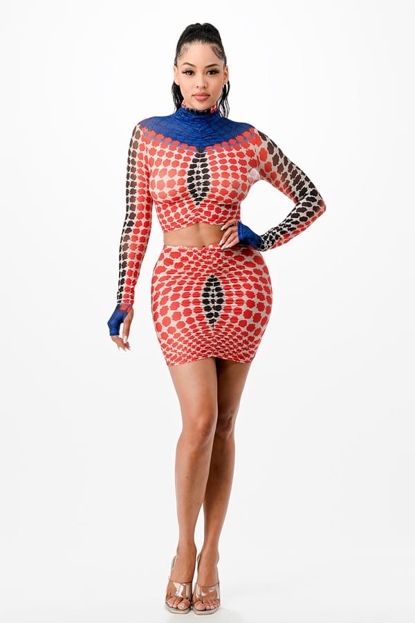 Women's Printed Mesh Long Sleeve Crop Top & Mini Skirt Set