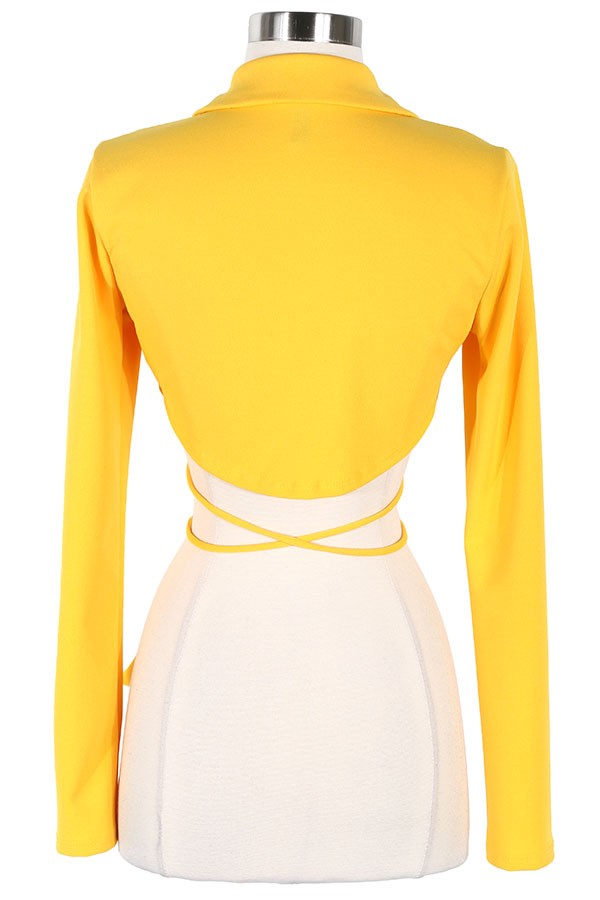 Women's yellow v-neck long sleeve tie-front top - photo 3
