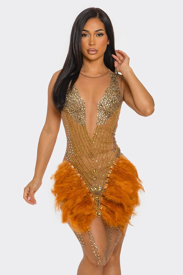 Women's Rhinestone Sheer Mesh Feather Mini Dress