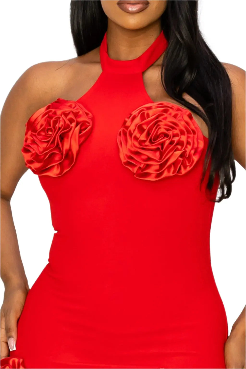 Rose mini dress outfit view - Epicplacess