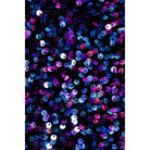 Women's multicolor velvet sequin curved V spaghetti strap jumpsuit